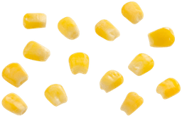 اسنک یامی