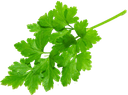 چیپس پذیرایی یامی