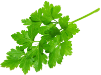 چیپس پذیرایی یامی